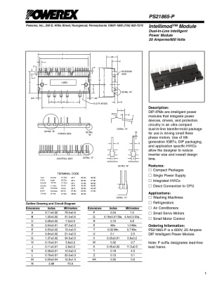 PS21865-P