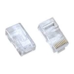 PLUG RJ50 10p10c WT-10P-10C-L