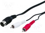 CABLE-305 5 DIN male 2RCA male