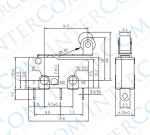 Microîntrerupător cu manetă KW4-Z5F + rolă 5A 250V